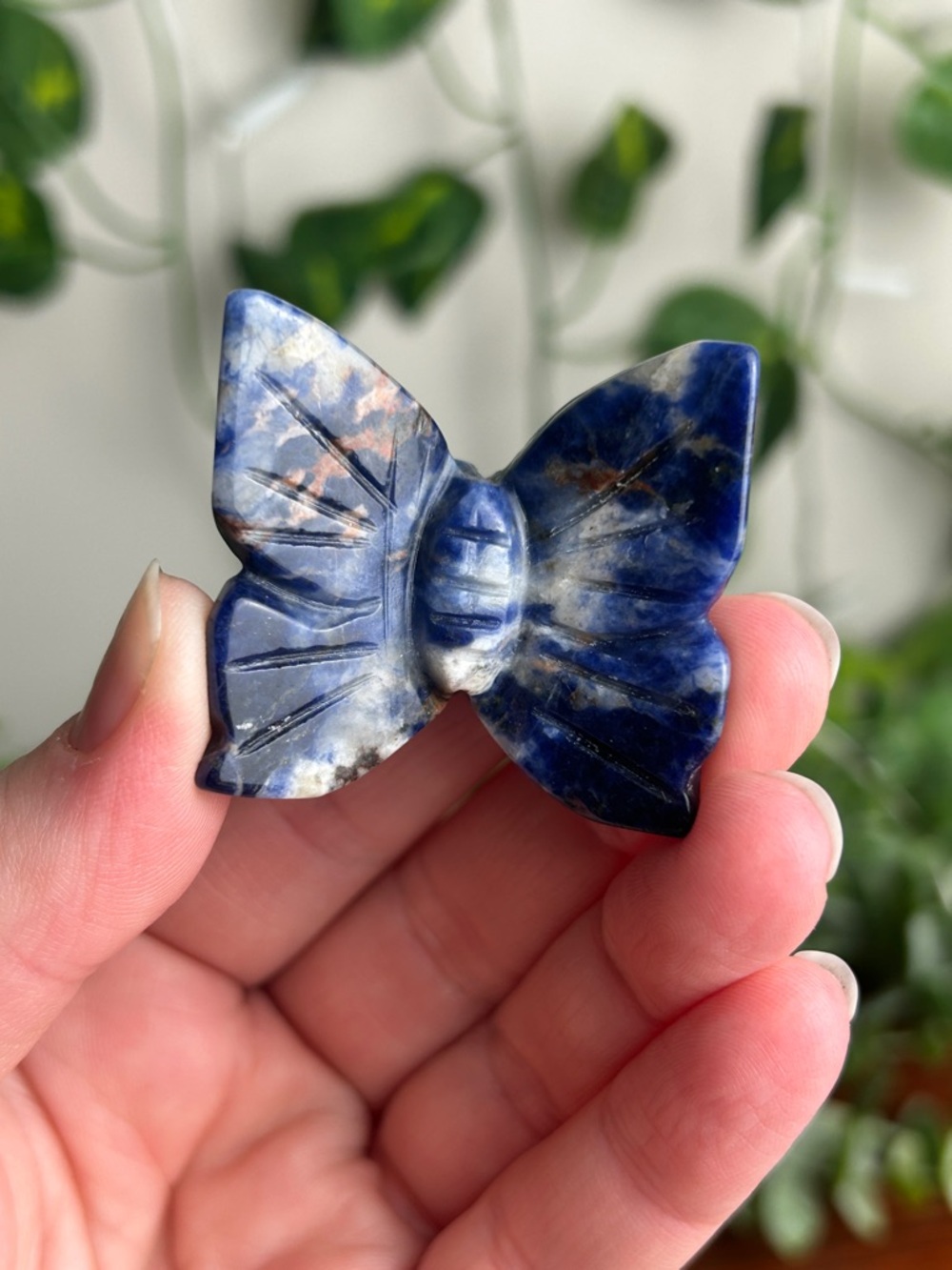 ONE Sodalite 3D Butterfly